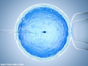 代生男孩价格
